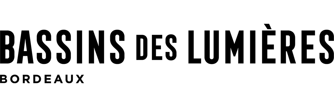 https://mamas.am/sites/default/files/logos/large/bassinsdeslumieres.png